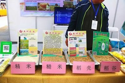 汇聚泉水鲜味 共鉴优质农品——济南都市农产品博览会盛大开幕，优秀参展企业与优秀商品火热评选中