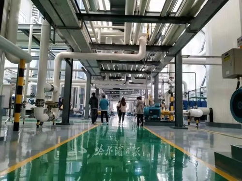 这里是哈尔滨 好吃好喝 最集中的地方 一年500亿,名气响当当